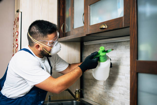Best Commercial Pest Control Services  in Mont Alto, PA