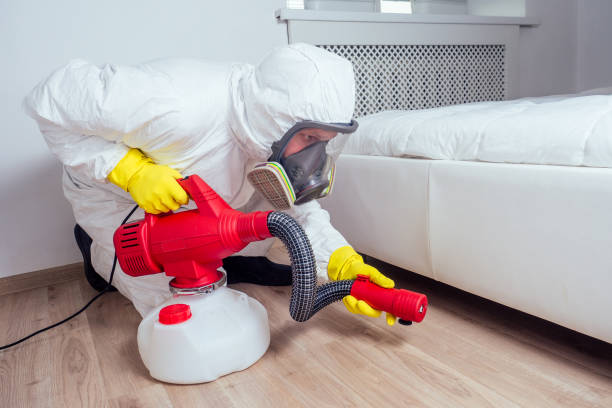 Flea Control Services in Mont Alto, PA