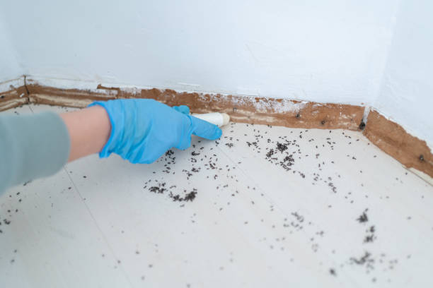 Best Emergency Pest Control  in Mont Alto, PA